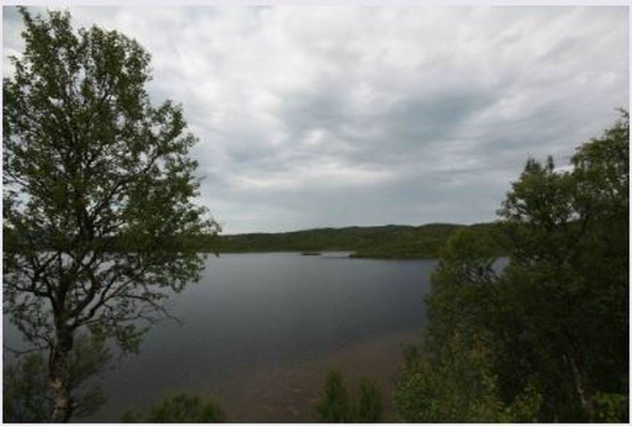 Kalvøyvatnet