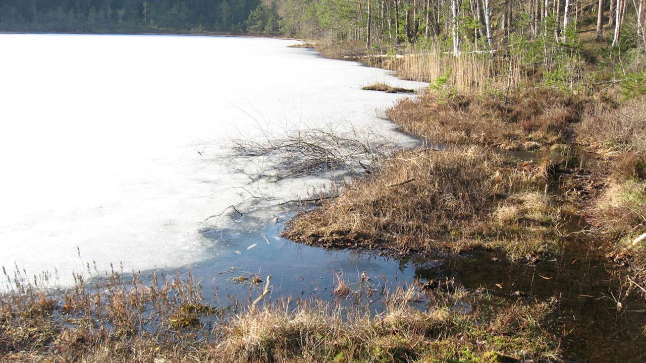 Abbortjern