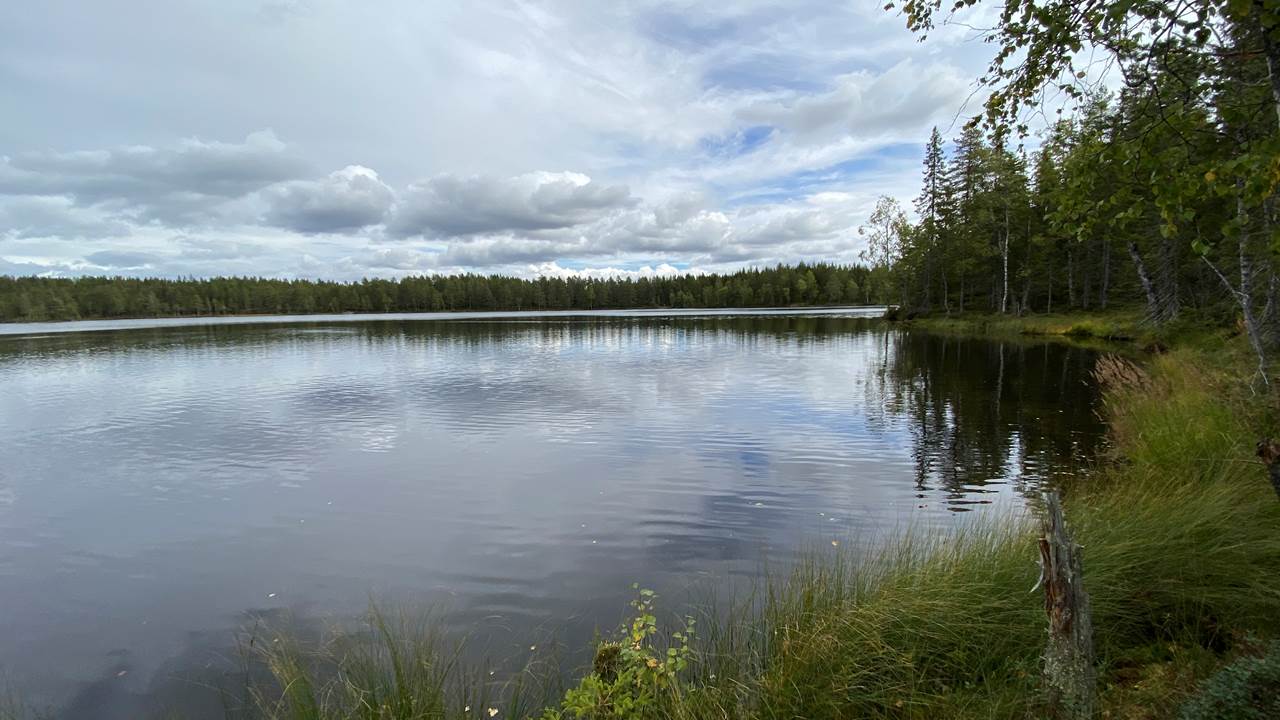 Øvre Øyvann