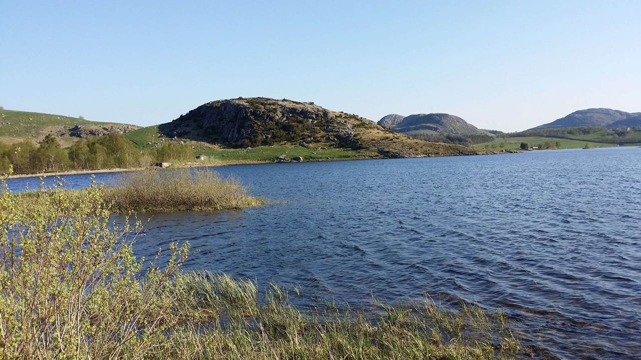 Skjelbreidtjørna