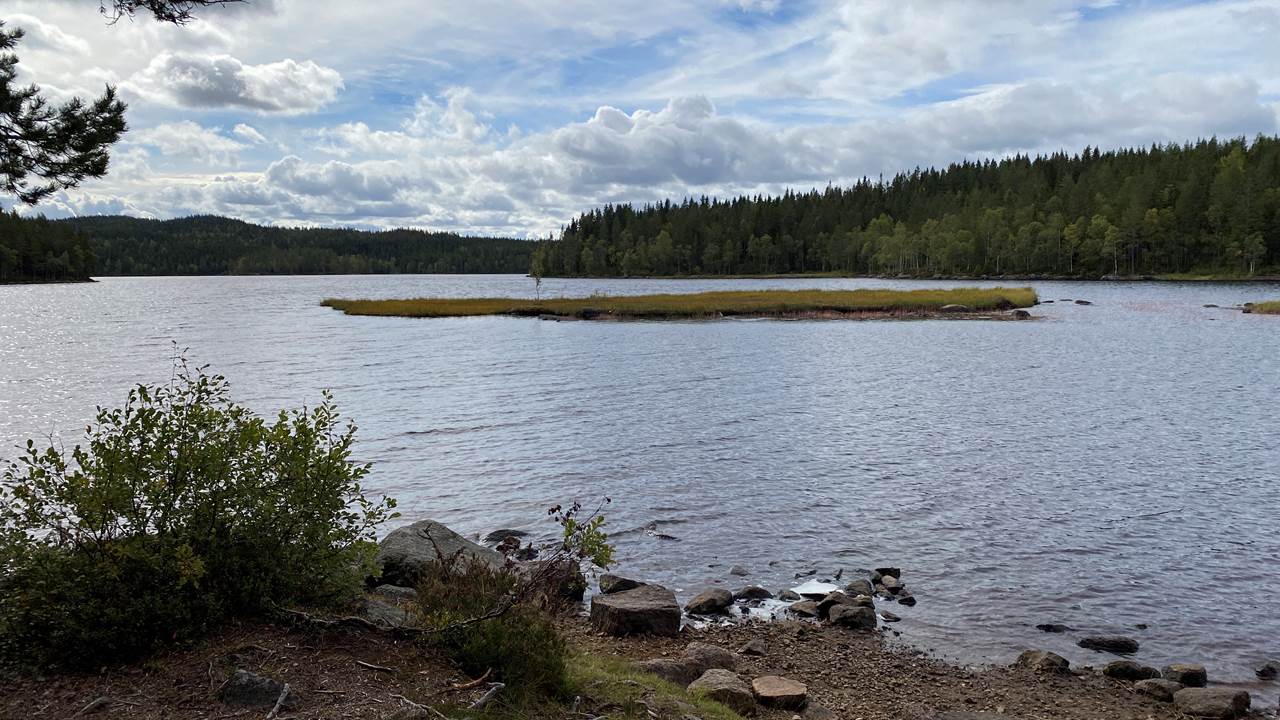 Trehørningen