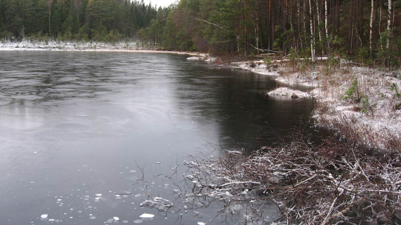 Abbortjern