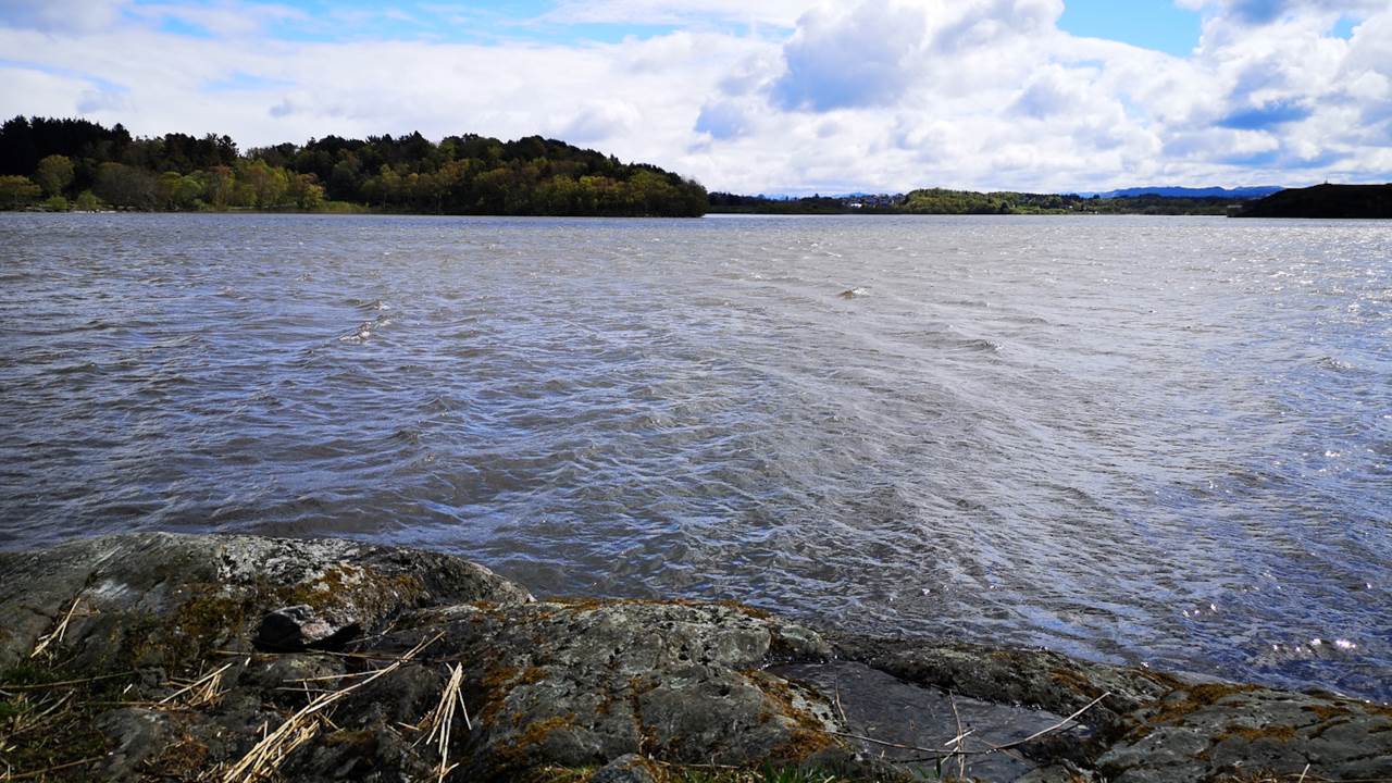 Hålandsvatnet