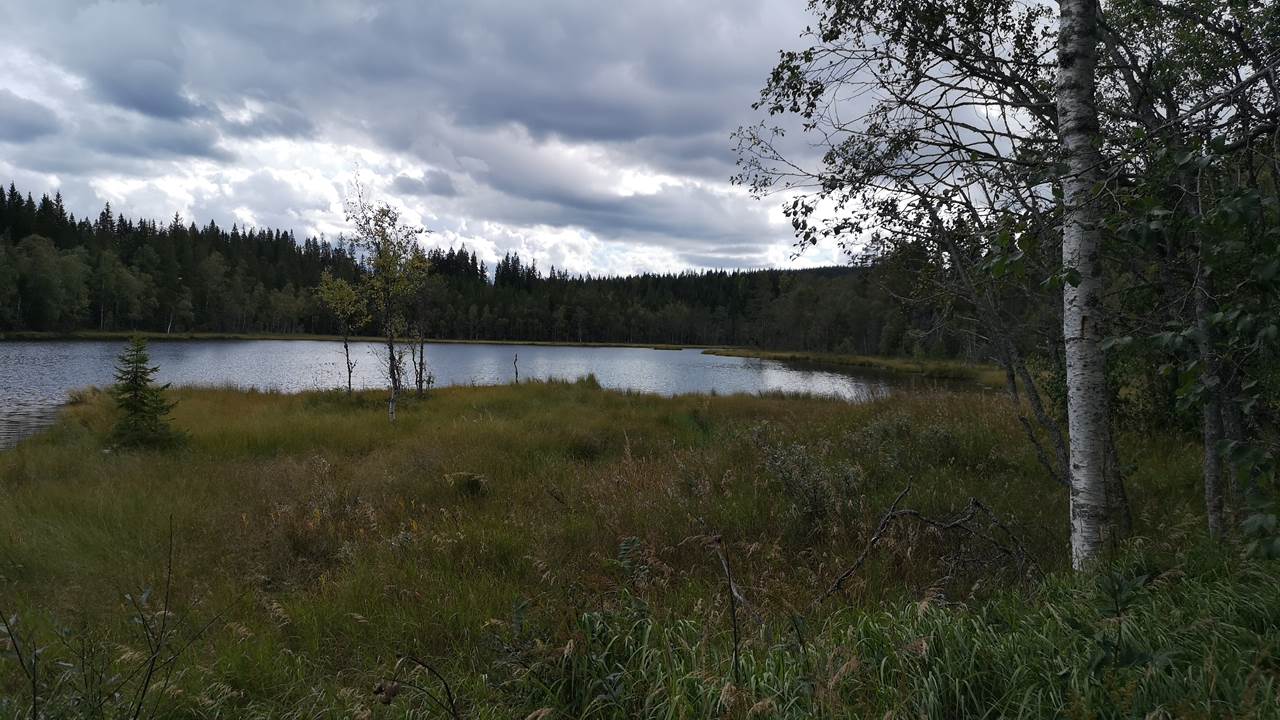 Nordvannet