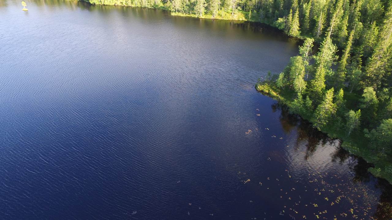 Stortjønna