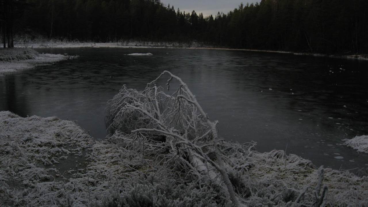 Abbortjern