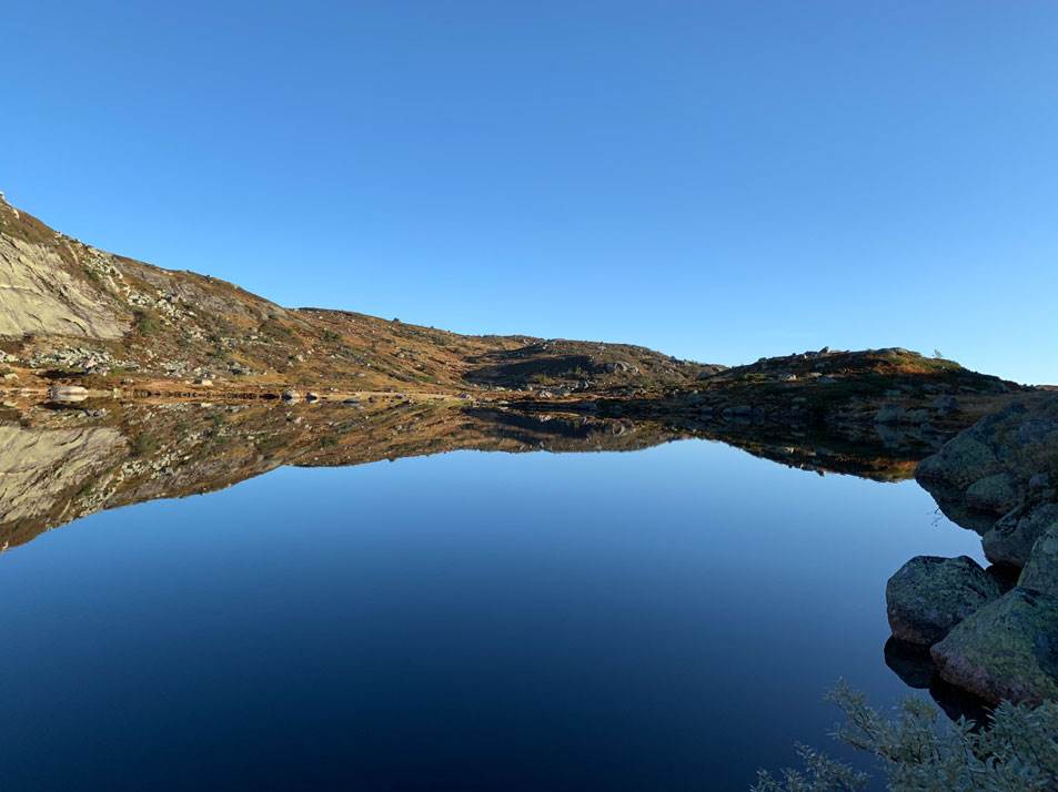Heddervatnet