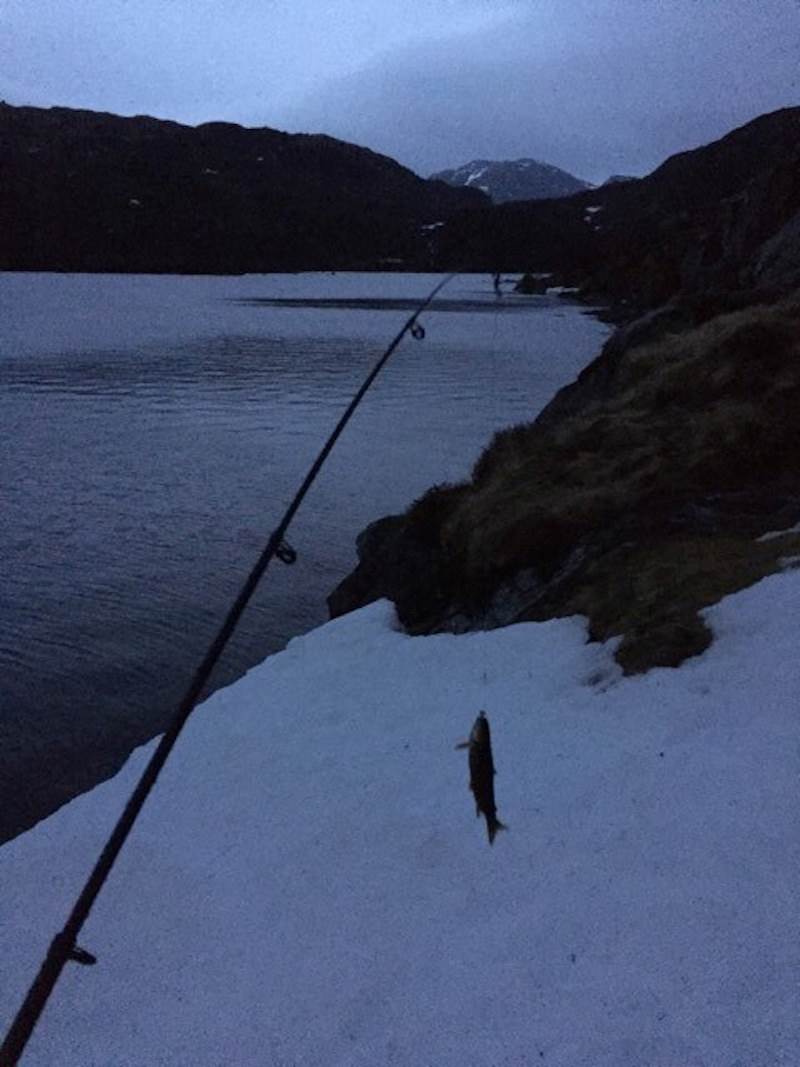 Oksevadtjørna
