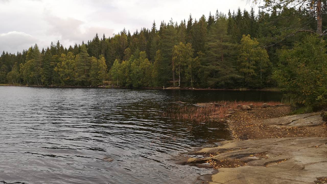 Trehørningen