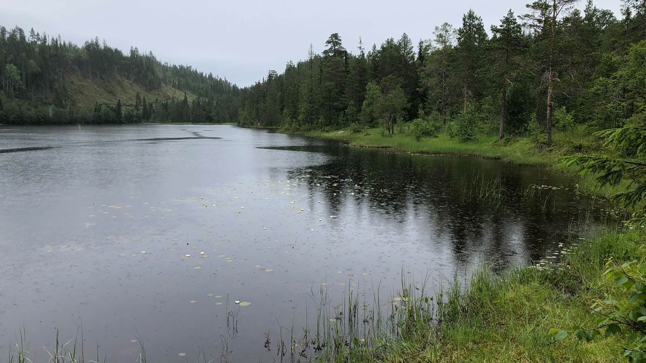 Røssvatnet