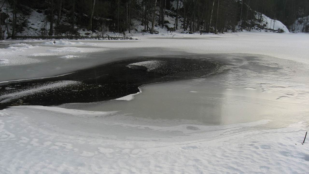 Sølvdobla