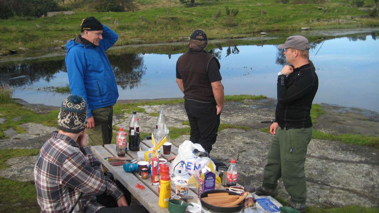 Dalestemmen