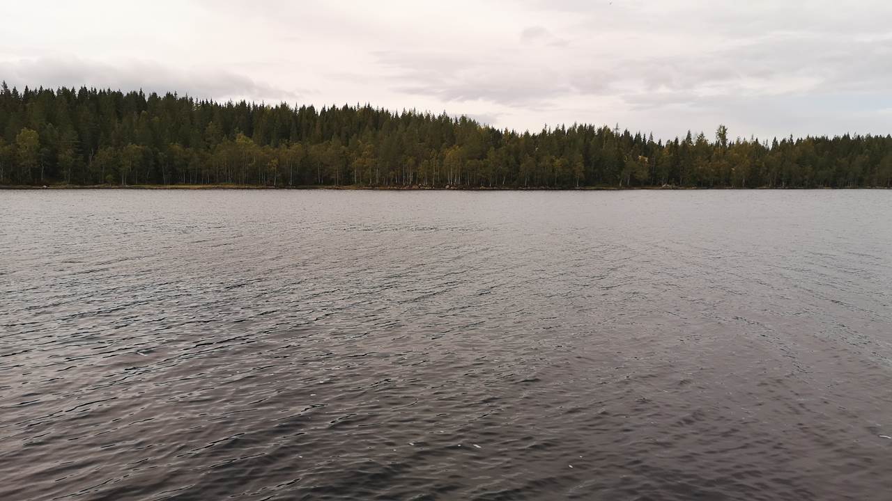 Trehørningen