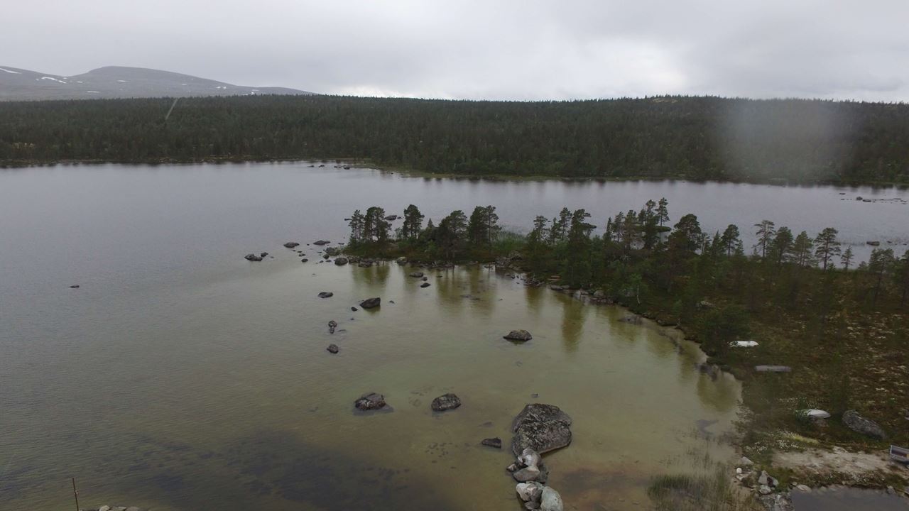 Femunden - Innsjø i Os, Innlandet (662 moh)