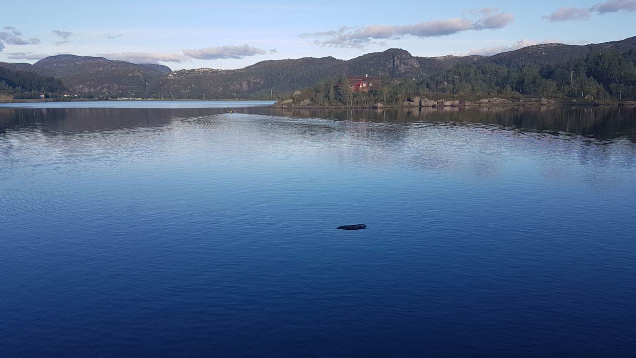 Sinnesvatn