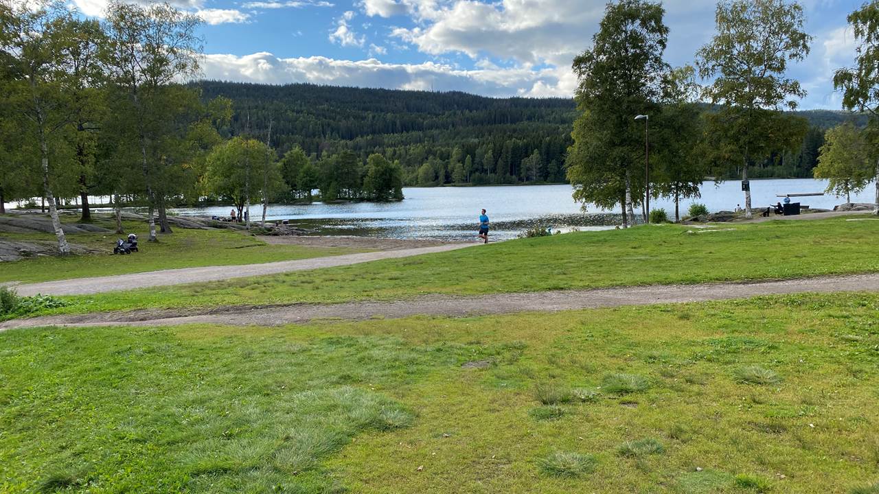 Sognsvann