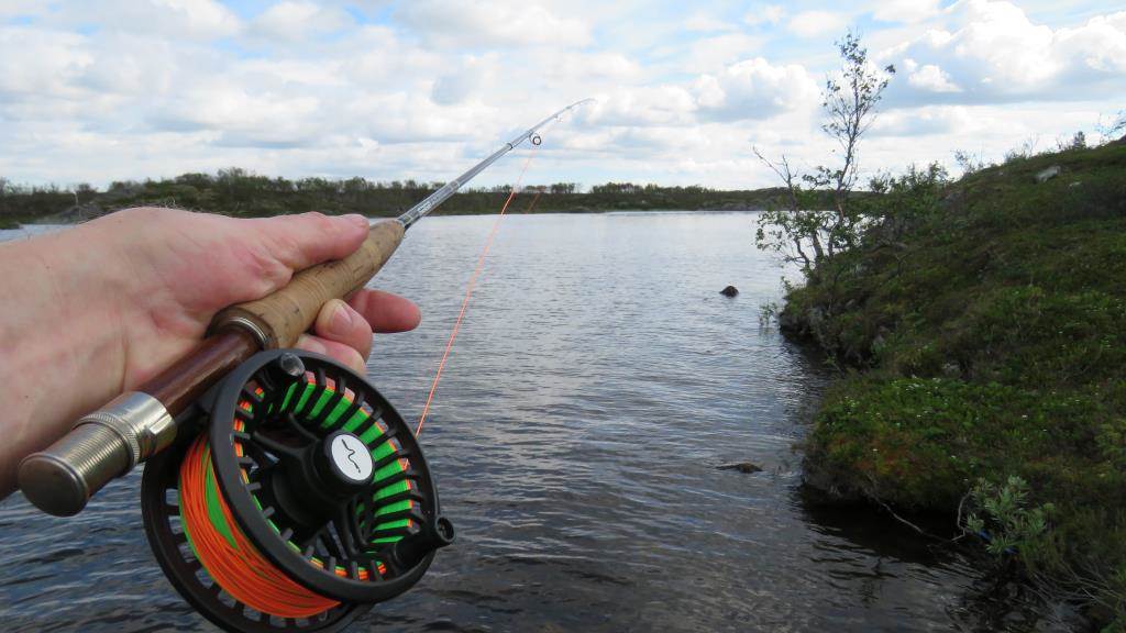 Fluestang som peker utover et vann.