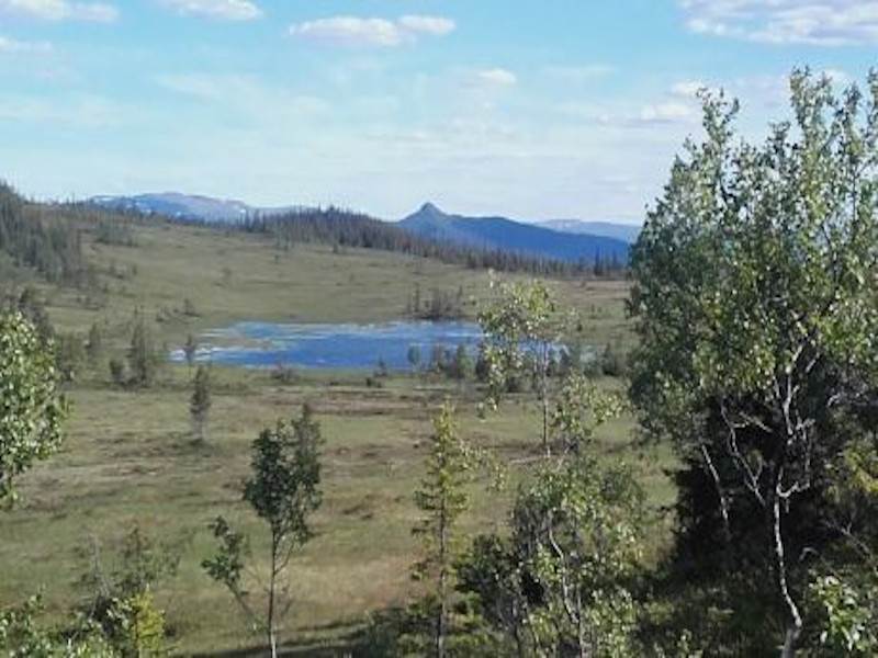 Fiskekort Støren - Rognes øst for Gaula (Tiller Fiskesameie)