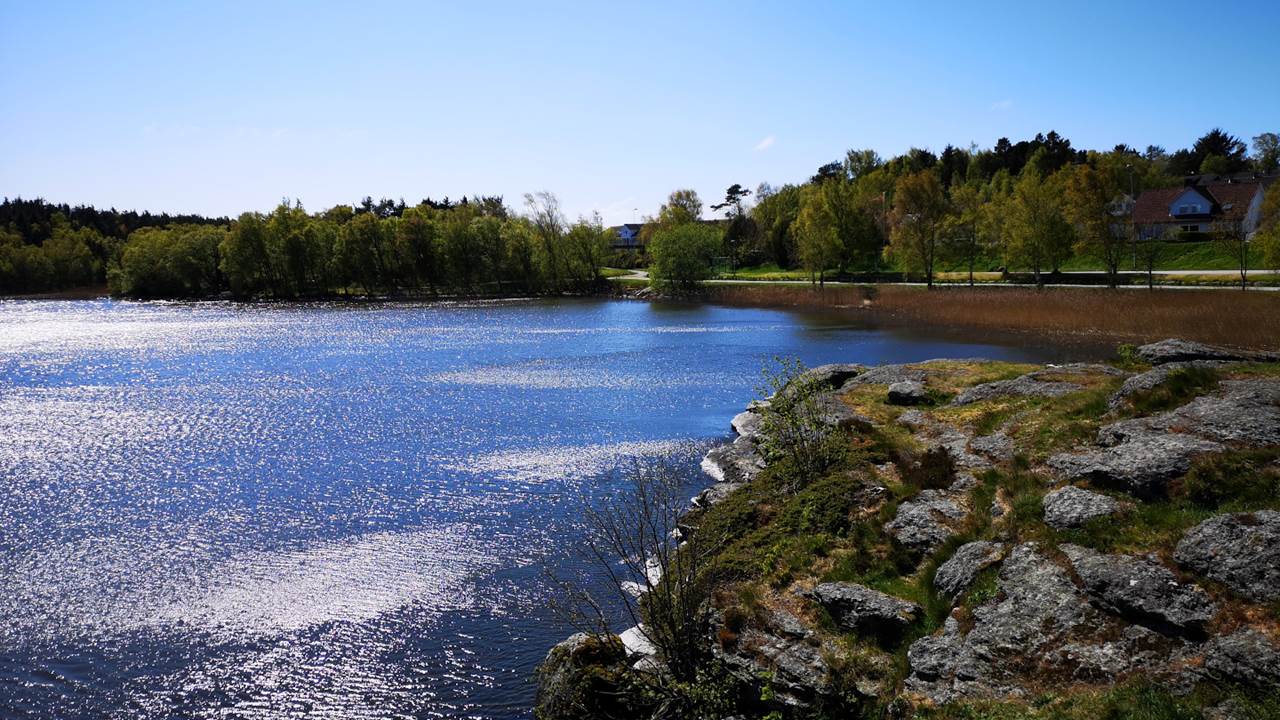 Hålandsvatnet