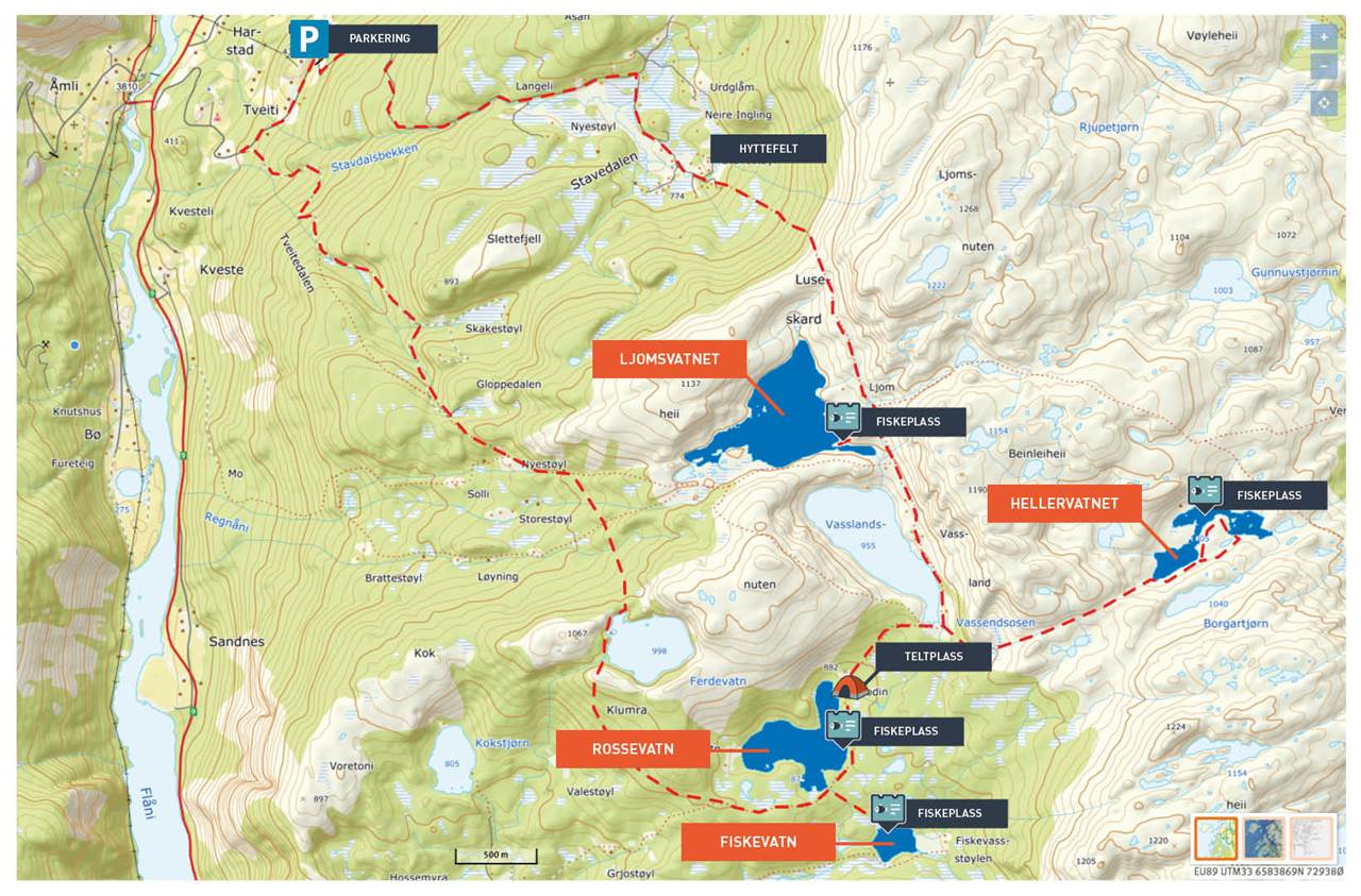 Kartutsnitt over området