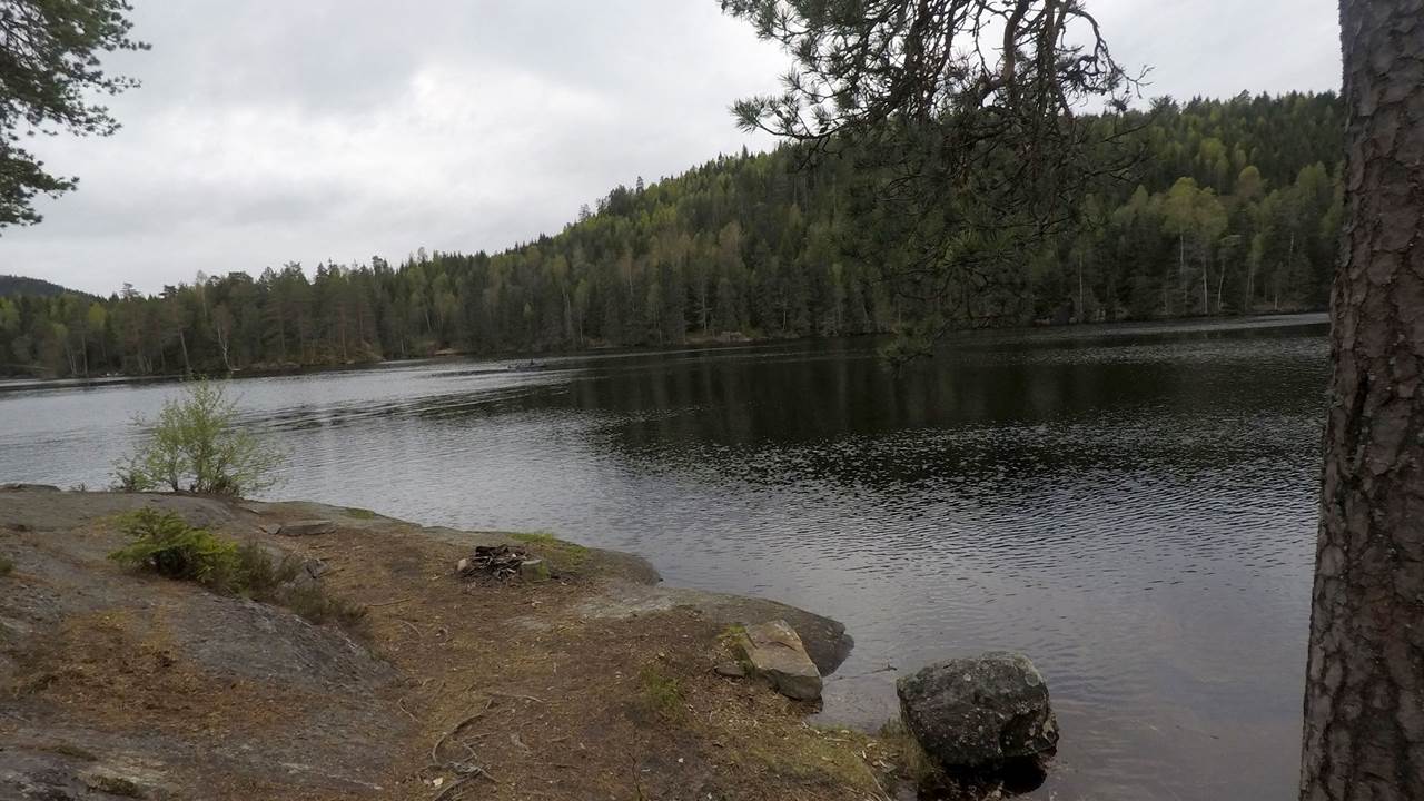 Røyrivannet