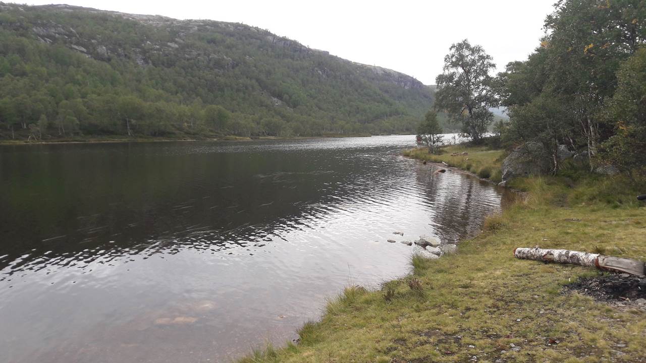 Ortevatn