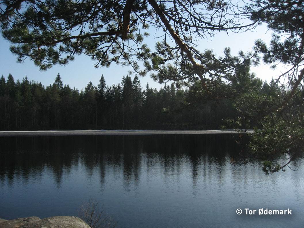 Rundvannet