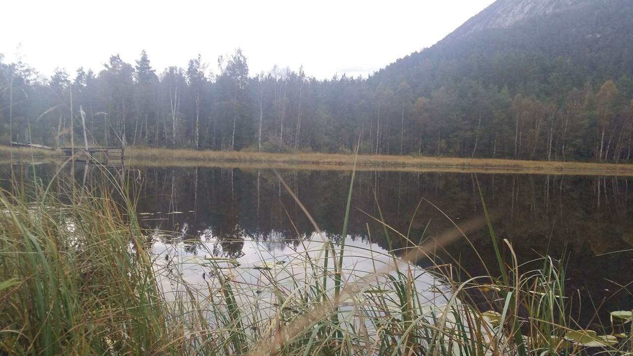 Andershølen