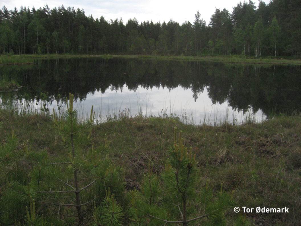 Søndre Trollvann