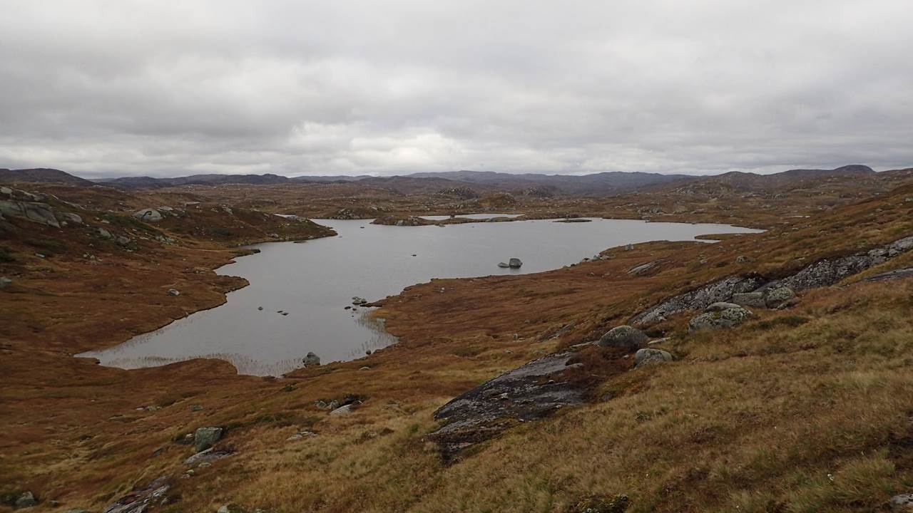 Krossvatn