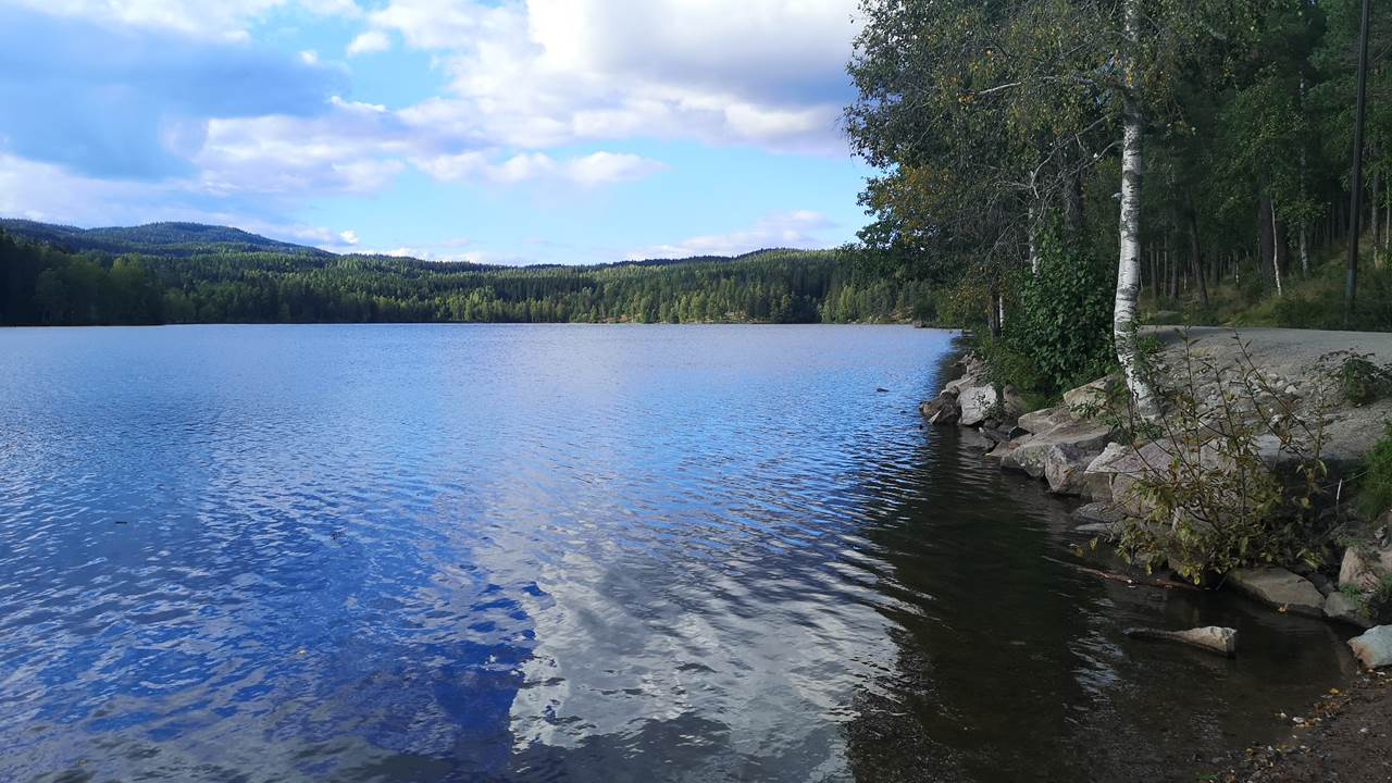 Sognsvann