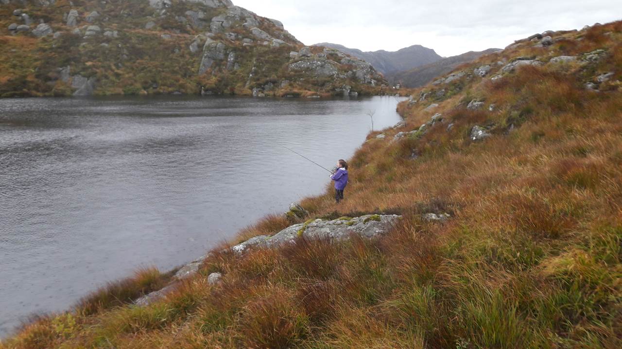 Gamstjørna / Runatjørni