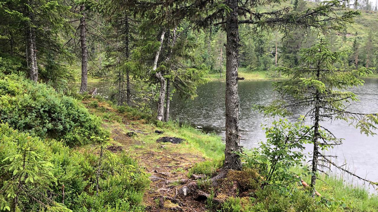 Røssvatnet