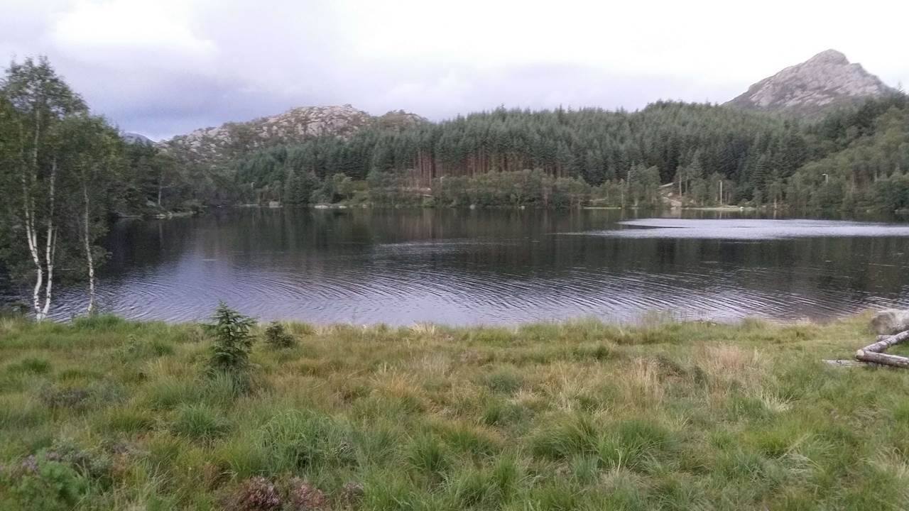 Litle Foretjørna - Gjesdal