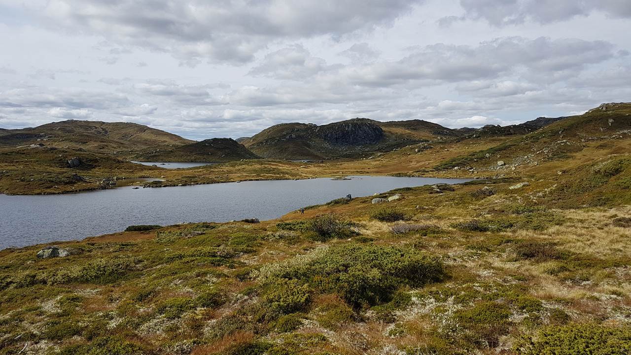 Gunnarsvatnet