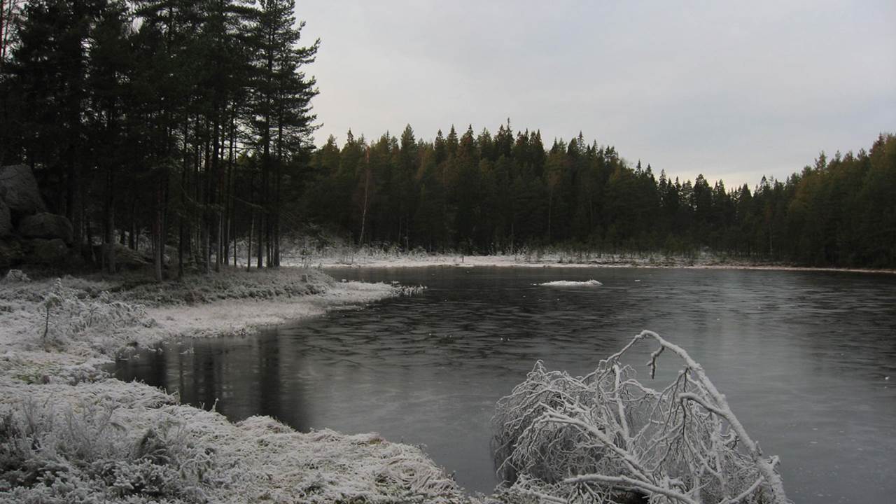 Abbortjern