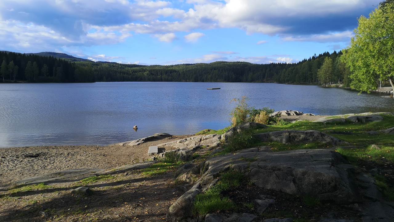 Sognsvann
