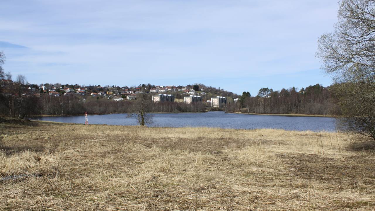 Birkelandsvatnet