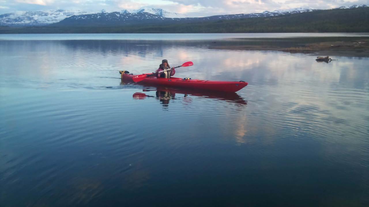 Fjellfroskvannet