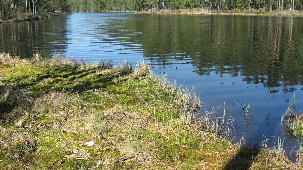 Steinsjøen
