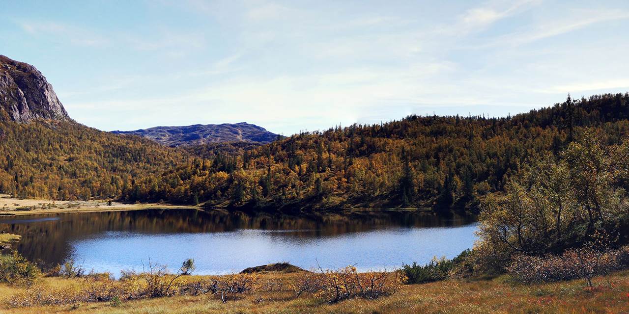 På fisketur i Setesdalsheiene
