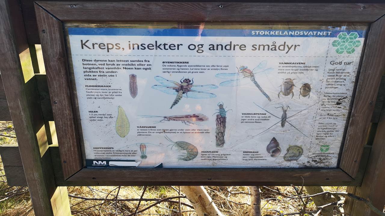 Stokkelandsvatnet