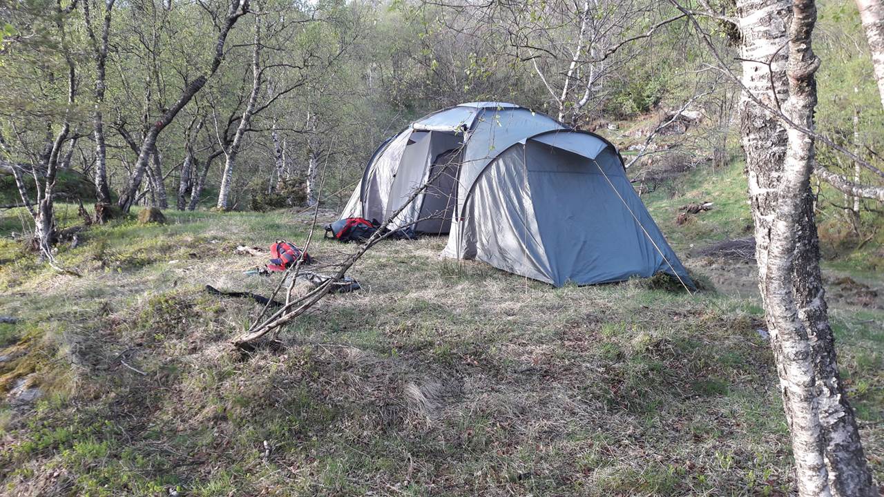 Bogstadtjørna
