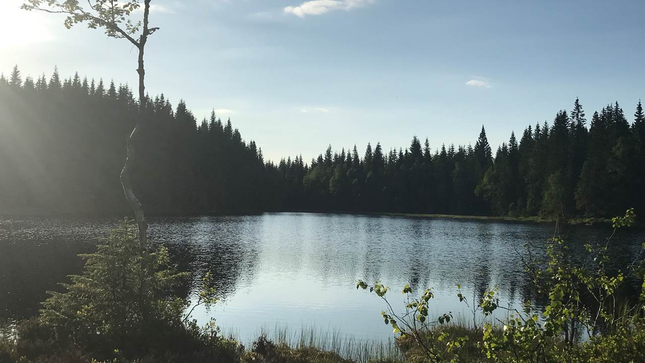 Åstjern
