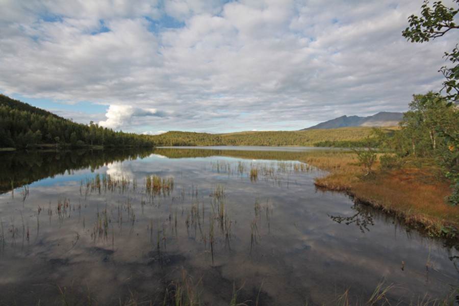 Juksavatnet