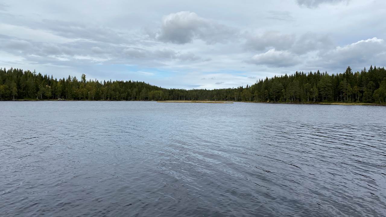 Trehørningen