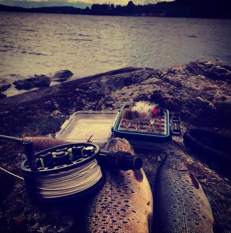 Snåsavatnet