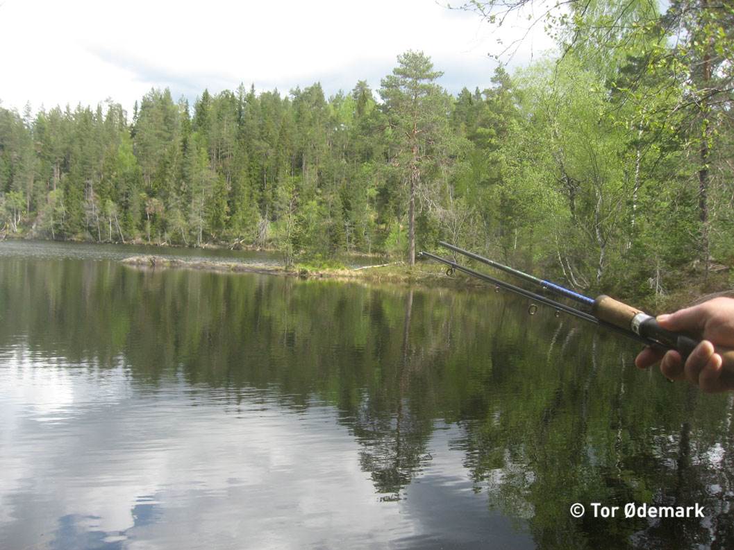 Steinsjøen