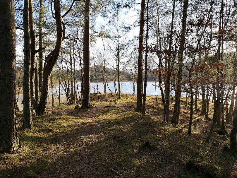 Horvetjørna