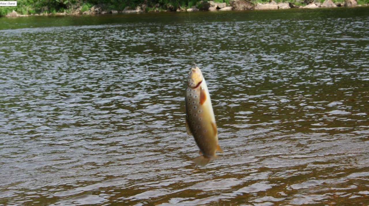 Fiskekort Møglandsvannet